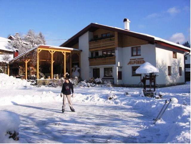 Rodinné apartmány Alpinka Oscadnica Exterior foto